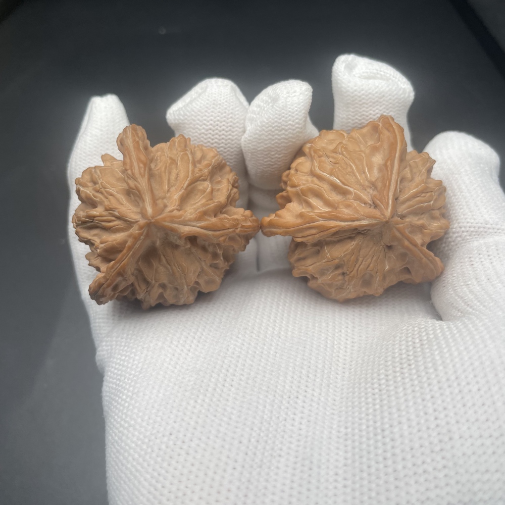 Rare 3-Ridged Qinling Chinese Walnuts | Handmade Health Walnuts for Stress Relief & Collection