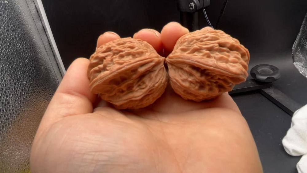 Chinese Millstone Bird Pattern Wenwan Walnuts - Handmade Health Walnuts for Stress Relief, Hand Exercise & Collectible Investment