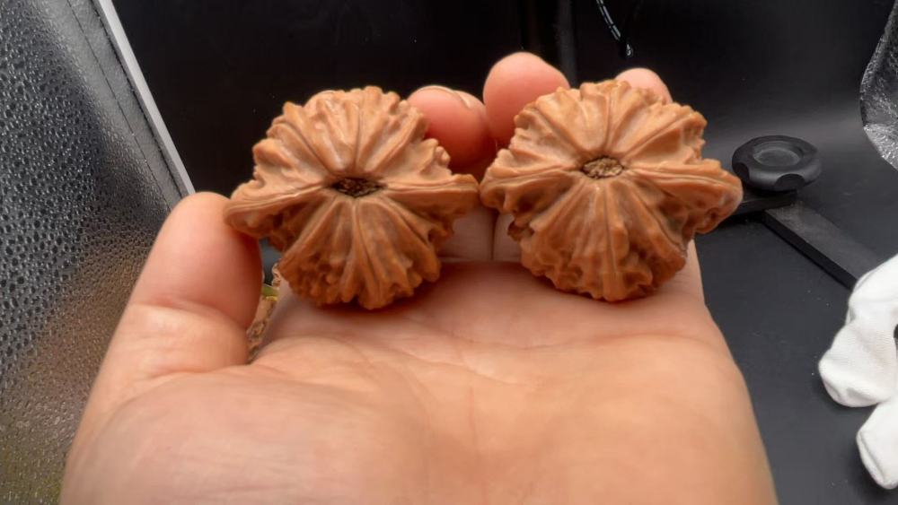 Chinese Millstone Bird Pattern Wenwan Walnuts - Handmade Health Walnuts for Stress Relief, Hand Exercise & Collectible Investment
