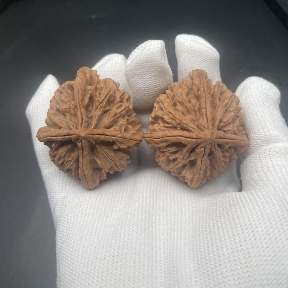 Qinmen Tri-Lobe Wenwan Walnuts | Rare Wild Old Tree Collection | Hand Polished Collectible Walnuts with Patina & Red Aging Effect