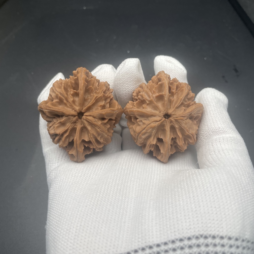 Qinmen Tri-Lobe Wenwan Walnuts | Rare Wild Old Tree Collection | Hand Polished Collectible Walnuts with Patina & Red Aging Effect