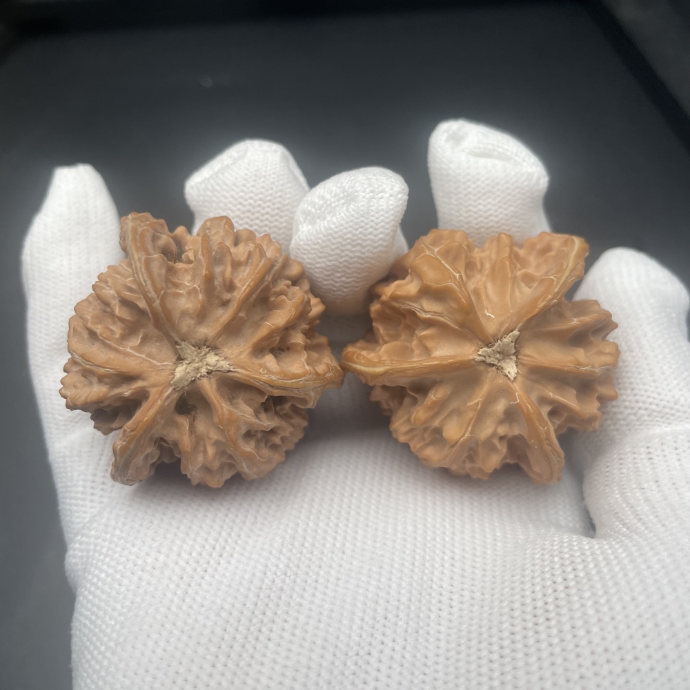 Rare 3-Ridged Qinling Chinese Walnuts | Handmade Health Walnuts for Stress Relief & Collection