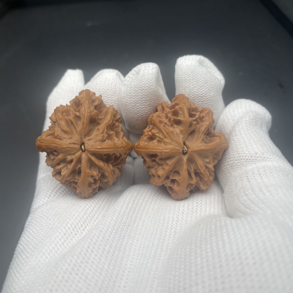 Natural Qinling Three-Ridged Chinese Walnuts - Hand Exercise Massage Walnuts, Premium Collectible Fidget Toys for Wellness & Feng Shui