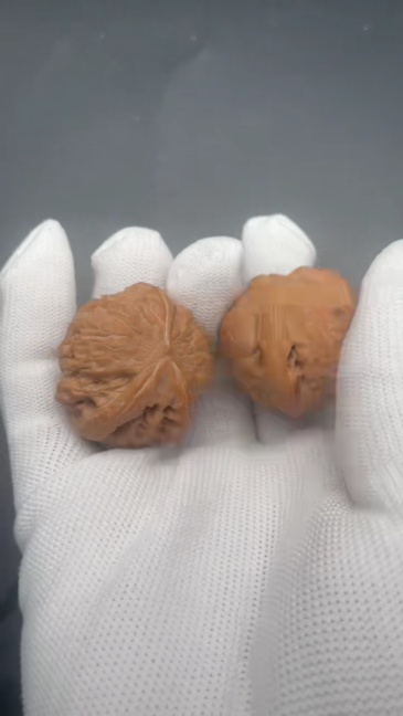 Hammer Owl Shape Chinese Wenwan Walnuts - Handmade Rare Collectible Stress Relief Fidget Toys for Hand Health & Feng Shui Decor