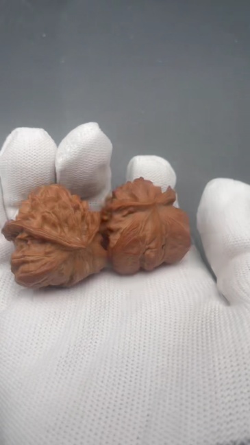 Wild Snake Head Special-Shaped Chinese Walnuts - Handmade Collectible Fidget Toys for Hand Health & Feng Shui Decor