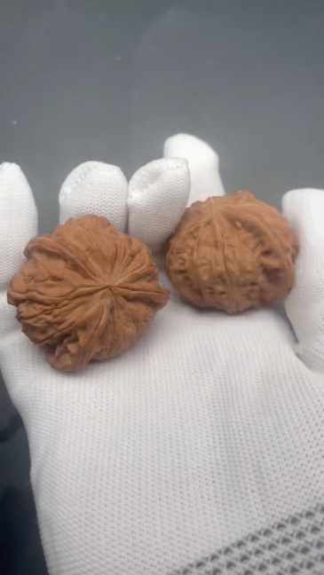 Fortune Yuanbao Special-Shaped Chinese Wenwan Walnuts, Natural Hand Exercise Health Walnuts, Collectible Handheld Fidget Toys