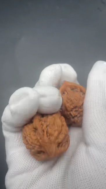 Handmade Chinese Guanmaosansleng Walnut Wenwan - Premium Collectible Stress Relief Palm Exercise Walnuts for Health & Feng Shui