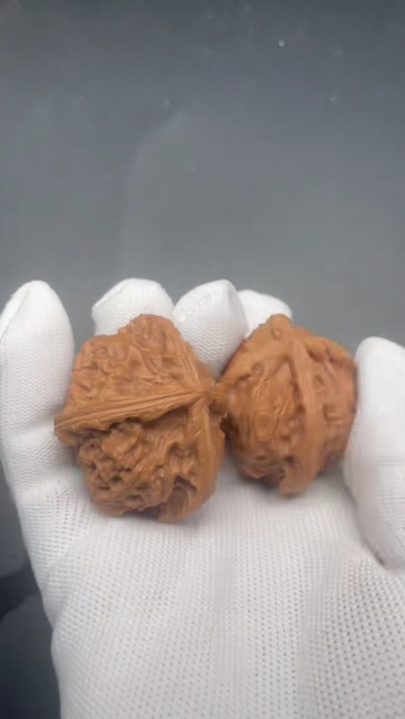 Imperial Seal Four-Ridge Wenwan Walnuts, Collectible Grade Natural Wild Ma Walnut, Hand Therapy Stress Relief Toy, Oriental Cultural Collectible
