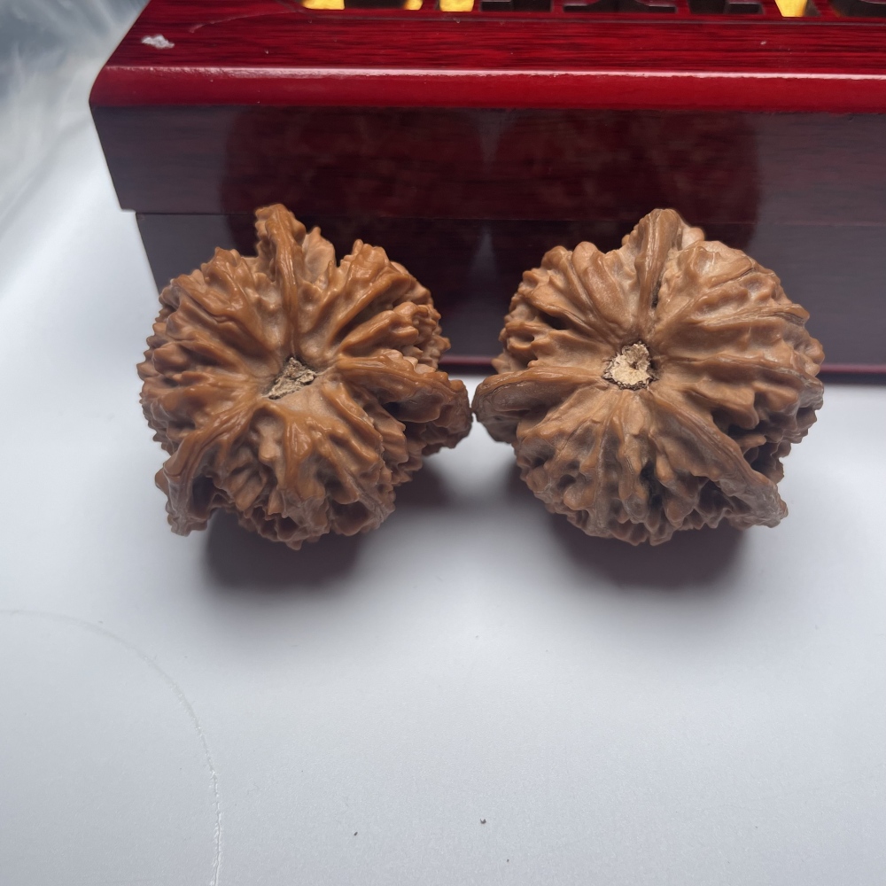 Hammer Owl Shape Chinese Wenwan Walnuts - Handmade Rare Collectible Stress Relief Fidget Toys for Hand Health & Feng Shui Decor