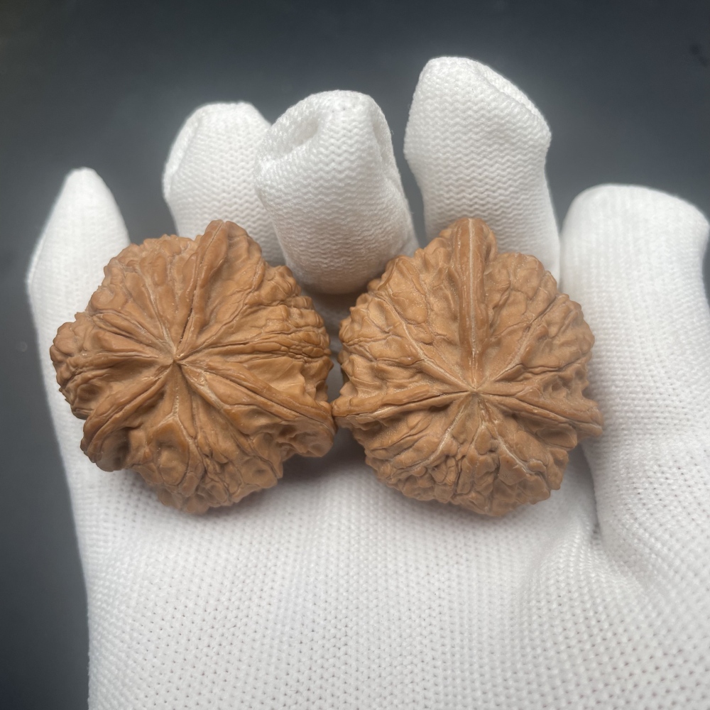 Fortune Yuanbao Special-Shaped Chinese Wenwan Walnuts, Natural Hand Exercise Health Walnuts, Collectible Handheld Fidget Toys