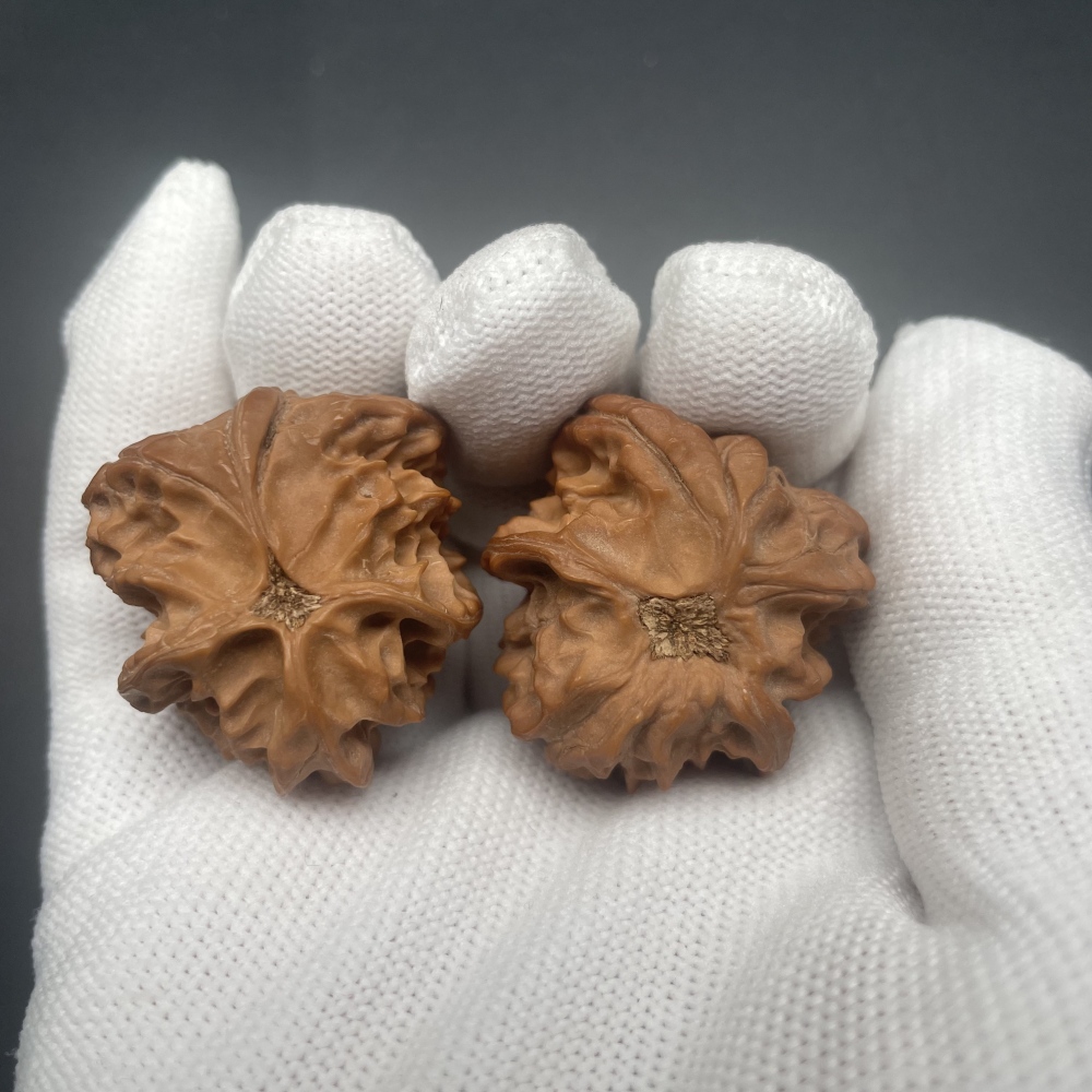 Wild Snake Head Special-Shaped Chinese Walnuts - Handmade Collectible Fidget Toys for Hand Health & Feng Shui Decor