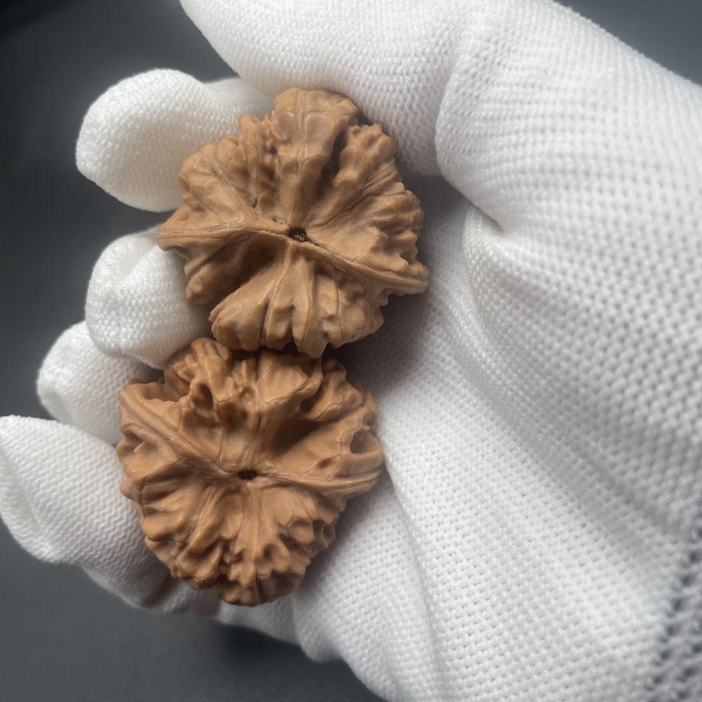 Hand-Carved Guanmao Turtle-Back Irregular Chinese Wenwan Walnuts - Rare Handmade Collectible Stress Relief Fidget Toys for Hand Health & Feng Shui Decor