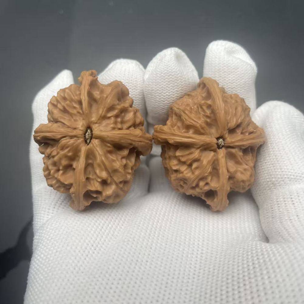 Imperial Seal Four-Ridge Wenwan Walnuts, Collectible Grade Natural Wild Ma Walnut, Hand Therapy Stress Relief Toy, Oriental Cultural Collectible