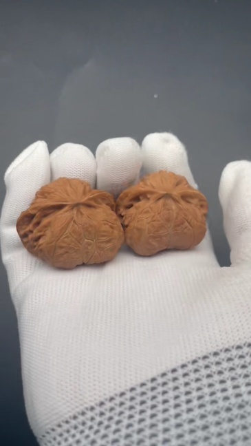 Gongdeng Snake-Pattern Wenwan Walnuts | Rare Natural Wild Collectibles | Hand Exercise Stress Relief Massage Walnuts | Oriental Culture Collectible Ornament