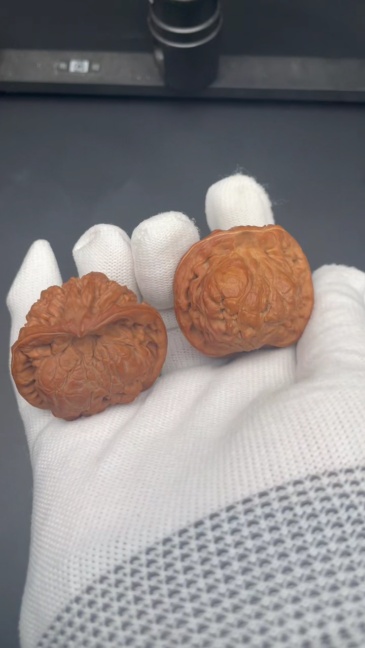 Guanmao Snake-Head Wenwan Walnuts | Rare Natural Wild Collectibles | Hand Exercise Stress Relief Massage Walnuts | Oriental Culture Collectible Ornament