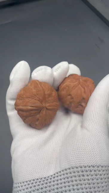 Pinggu Yuanbao Four-Ridges Wenwan Walnuts | Rare Natural Wild Collectibles | Hand Exercise & Stress Relief Ornament | Auspicious Oriental Elegance