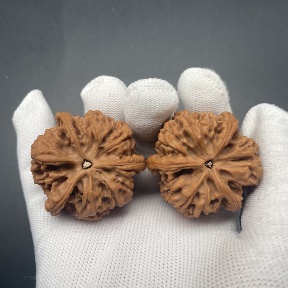 Tiger King Three-Ridges Wenwan Walnuts | Rare Natural Wild Collectibles | Hand Exercise Stress Relief Massage Walnuts | Oriental Culture Collectible Ornament