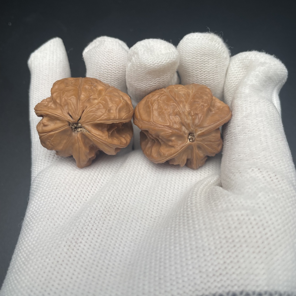 Cao Dalong Snake-Head Wenwan Walnuts | Rare Natural Wild Collectibles | Hand Exercise Stress Relief Massage Walnuts | Oriental Culture Collectible Ornament