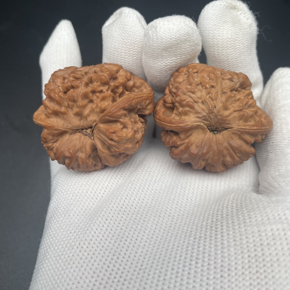 Guanmao Snake-Head Wenwan Walnuts | Rare Natural Wild Collectibles | Hand Exercise Stress Relief Massage Walnuts | Oriental Culture Collectible Ornament