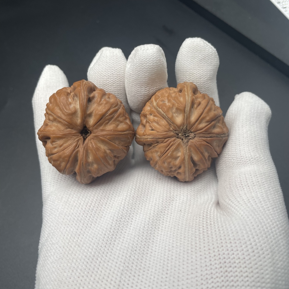Pinggu Yuanbao Four-Ridges Wenwan Walnuts | Rare Natural Wild Collectibles | Hand Exercise & Stress Relief Ornament | Auspicious Oriental Elegance