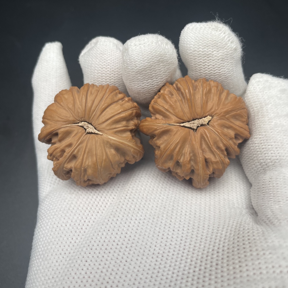 White Lion Dragon-Head Wenwan Walnuts | Rare Natural Wild Collectibles | Hand Exercise Stress Relief Massage Walnuts | Oriental Culture Collectible Ornament