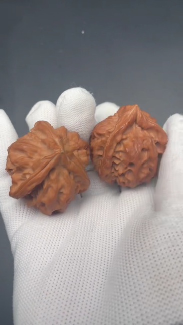 Premium Cao Dalong Three-Ridge Wenwan Walnuts | Hand Exercise Collectibles