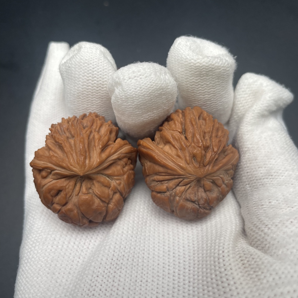 Premium Wenshan Snake-Head Wenwan Walnuts | Hand Exercise Collectibles