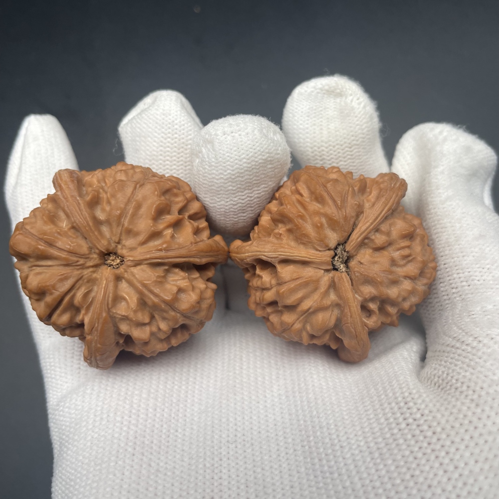 Premium Yuxi Three-Ridge Chinese Wenwan Walnuts for Collection & Hand Exercise