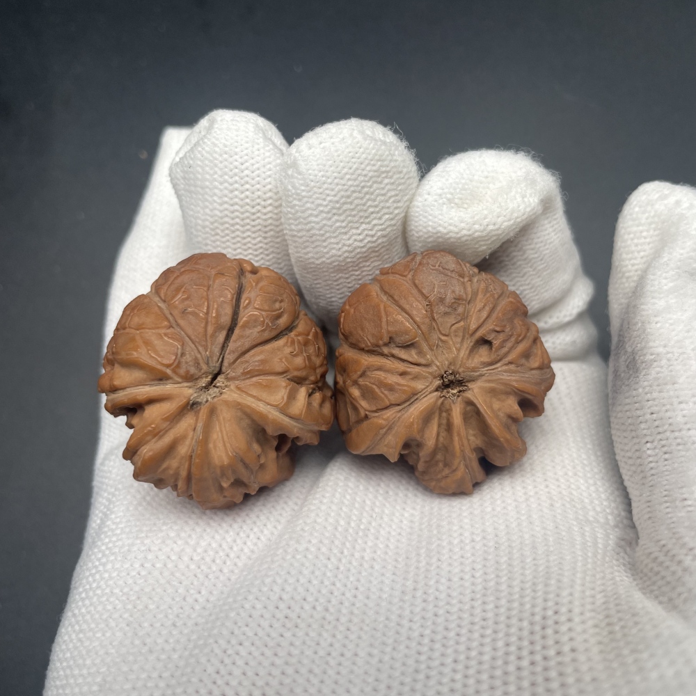Premium Wenshan Snake-Head Wenwan Walnuts | Hand Exercise Collectibles