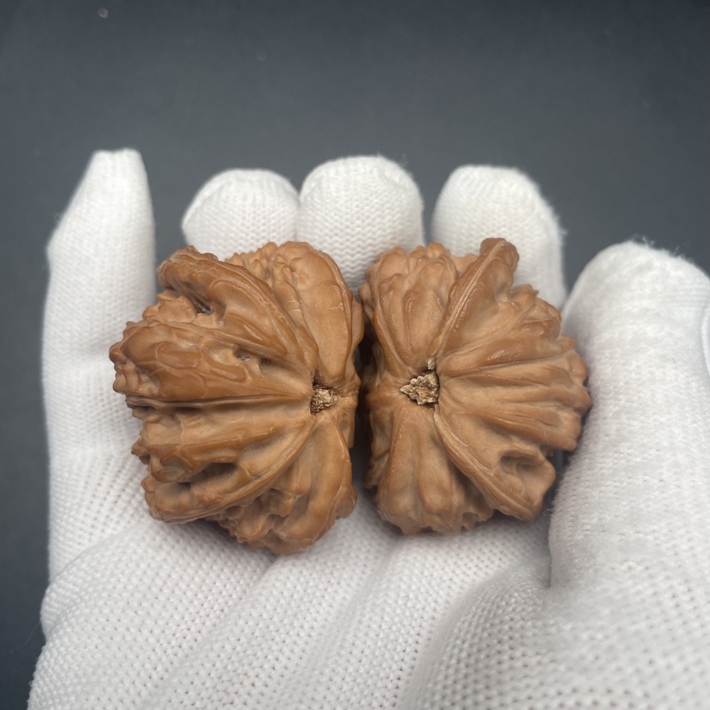 Handmade Rare White Lion Shape Walnuts - Premium Stress Relief Fidget Toys, Hand Exercise Massage Walnuts for Anxiety Relief & Wellness Collectibles