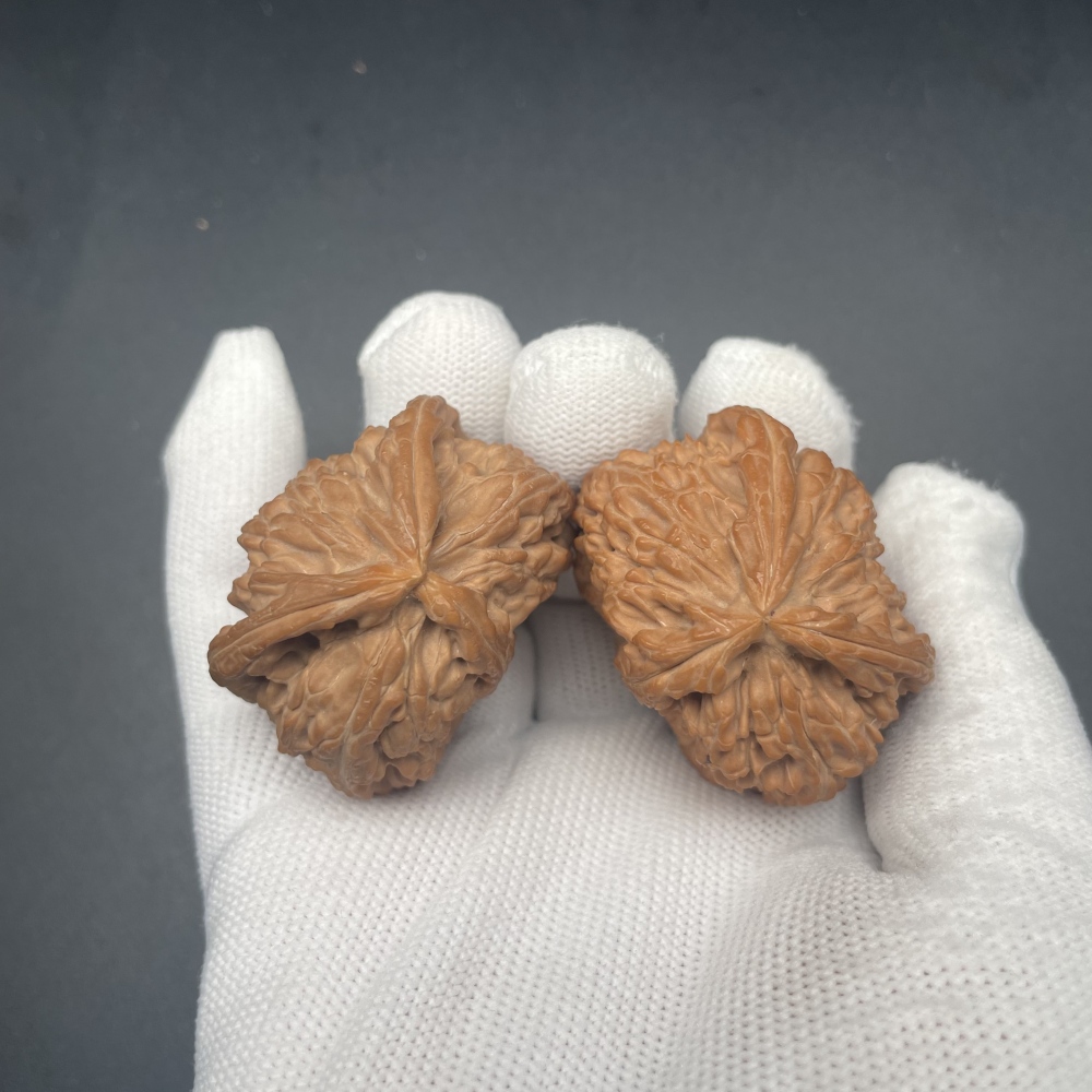 Hand-Carved White Son Half-Arm  Walnut Wenwan | Rare Chinese Health Walnuts for Collection & Stress Relief