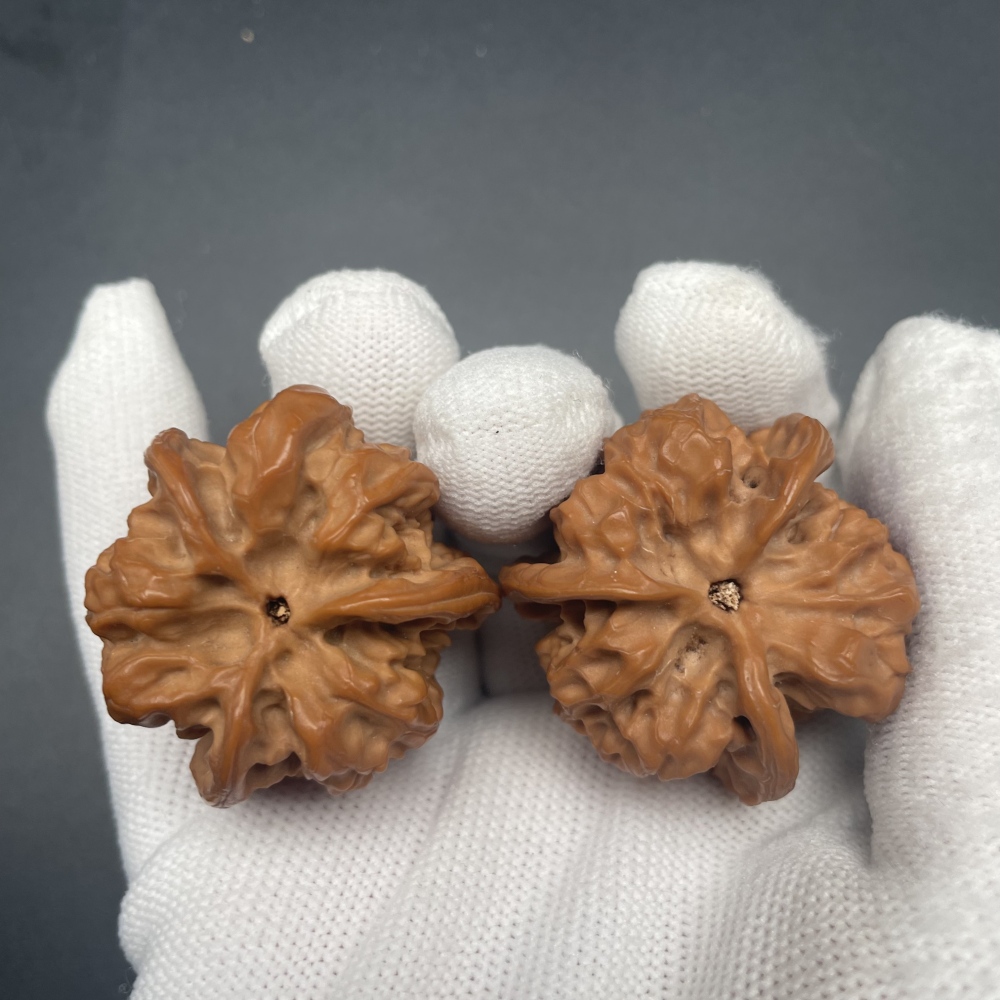Rare Triangular Chinese Walnut - Handheld Stress Relief & Wellness Collectible