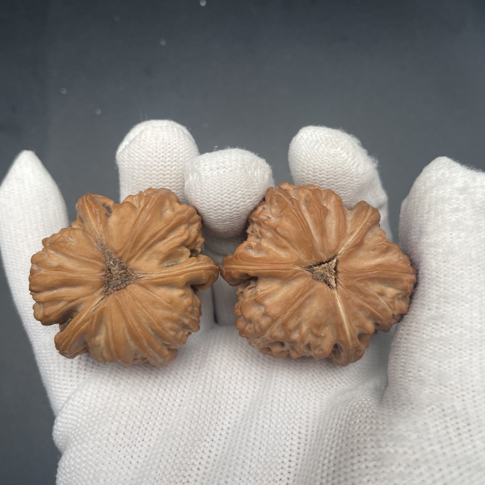 Rare Triangular Natural Walnut Hand Exercise Set, Unique Handmade Collectible Fidget Toy for Stress Relief & Wellness