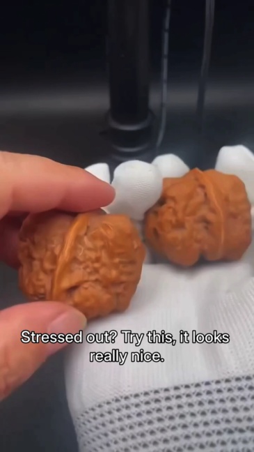 Rare Triangular Clam Head Walnuts | Natural Fidget Toys for Stress Relief & Desk Decor