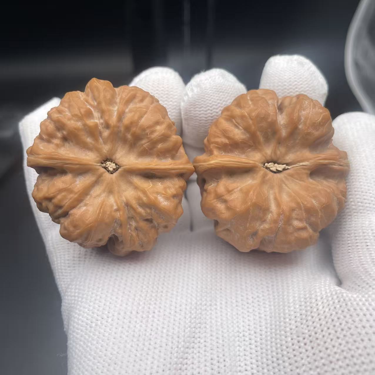Rare Triangular Clam Head Walnuts | Natural Fidget Toys for Stress Relief & Desk Decor
