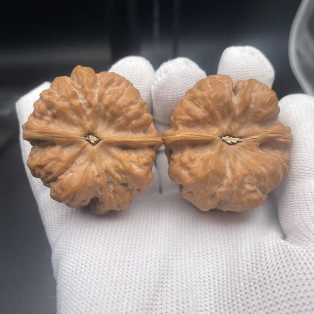 Rare Triangular Clam Head Walnuts | Natural Fidget Toys for Stress Relief & Desk Decor