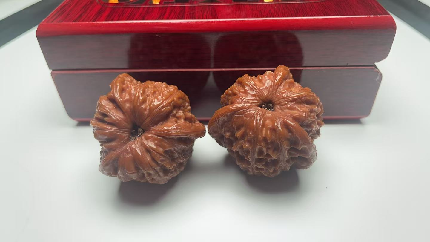 Rare Triangular Clam Head Walnuts | Natural Fidget Toys for Stress Relief & Desk Decor