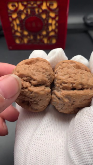 Premium Hand-Carved Natural Walnut Fidget Toy | Stress Relief Palm Exercise Collectible