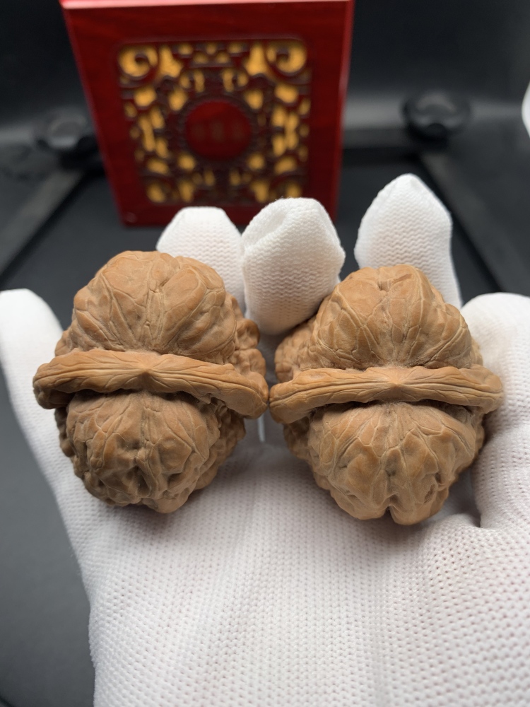 Premium Hand-Carved Natural Walnut Fidget Toy | Stress Relief Palm Exercise Collectible