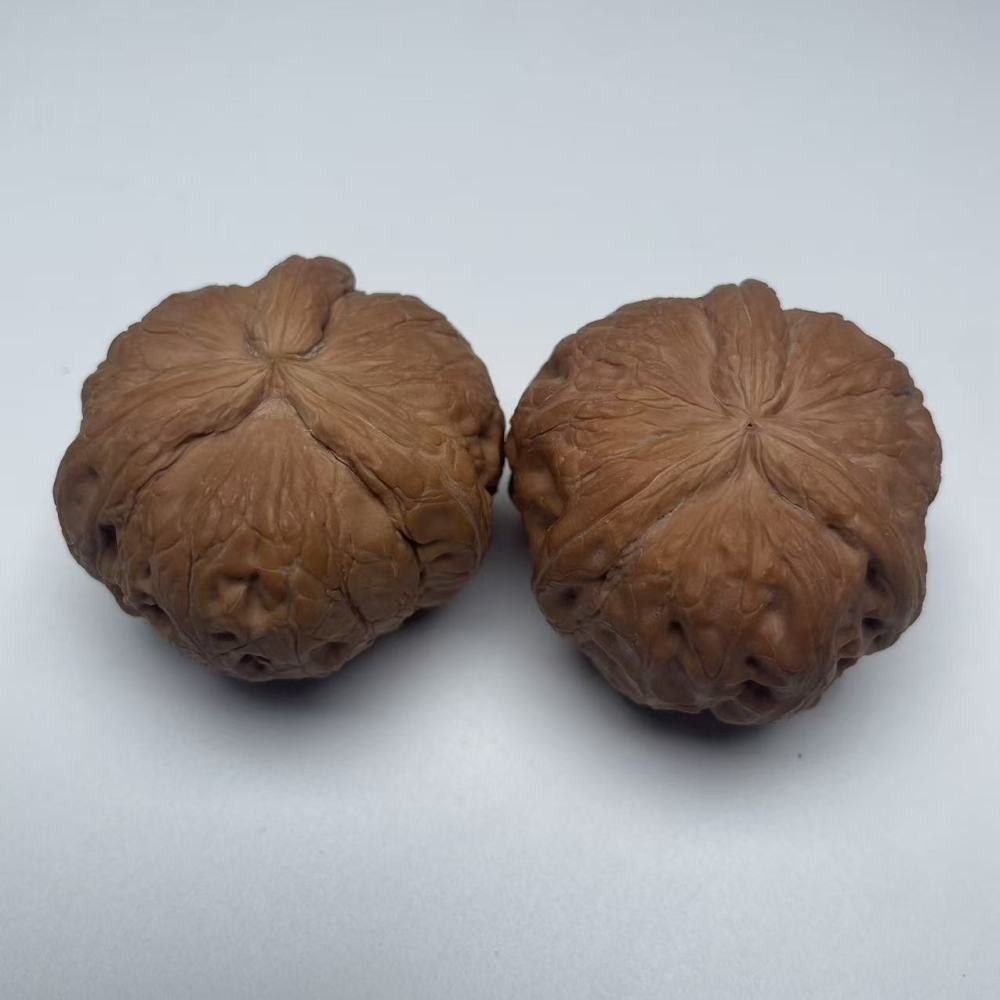 Premium Matched Literati Walnuts | 100:1 Strict Selected Export Grade Bulk Wholesale