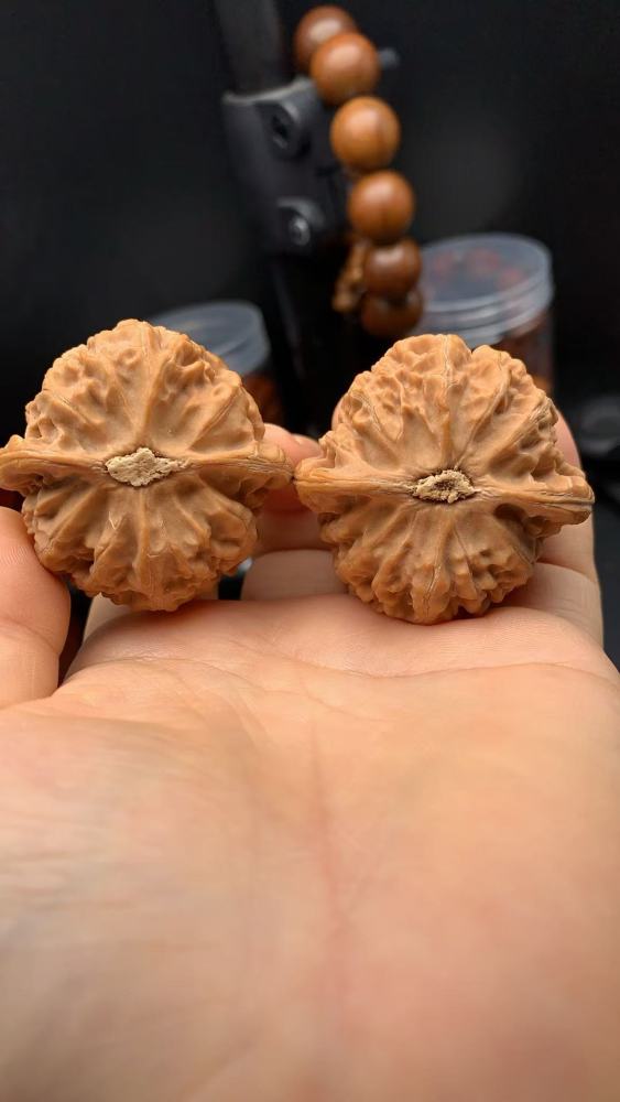 Premium Hand-Matched Walnut Pair – Timeless Love Token & Stress Relief Keepsake