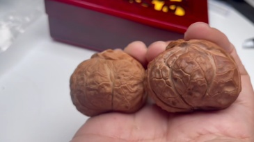 Wild Snake-Head Pattern Natural Hand Stress Relief Walnuts, Rare Collectible Fidget Toy