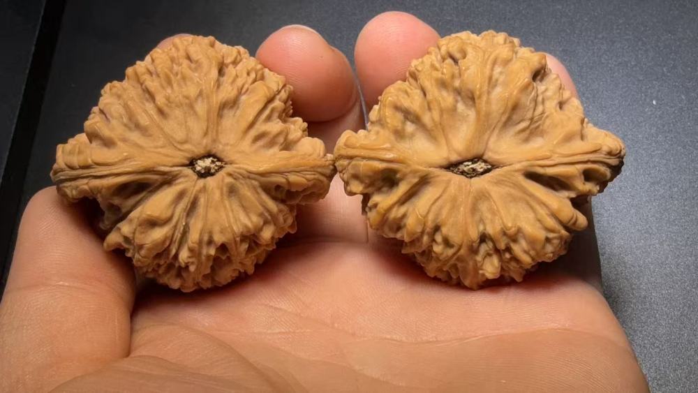 Natural Nanjing Stone-Texture Walnut Pair for Hand Exercise & Collection  Natural Stone-Texture Hand Therapy Walnut Pair – Aged Red Patina Collectible Walnuts