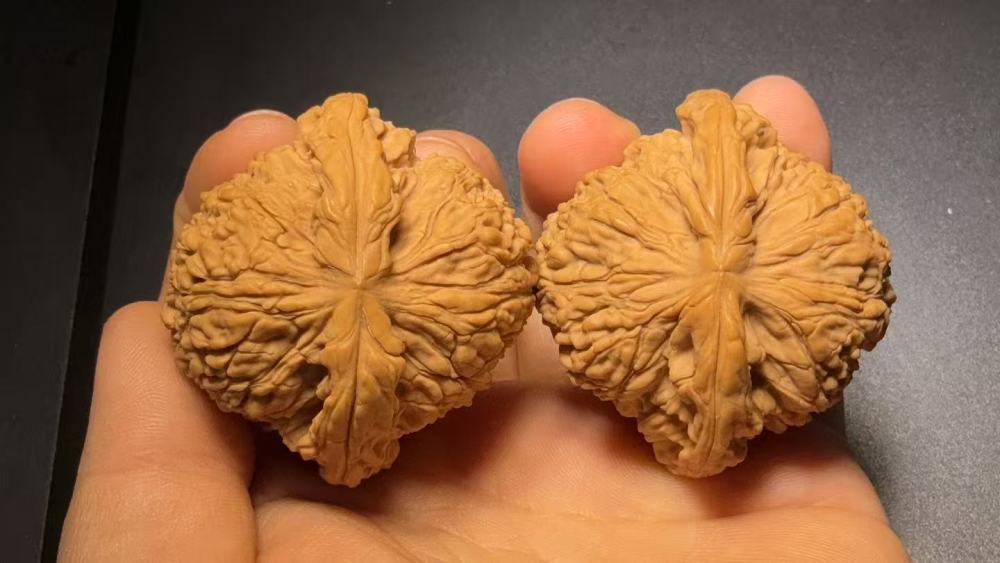 Natural Nanjing Stone-Texture Walnut Pair for Hand Exercise & Collection  Natural Stone-Texture Hand Therapy Walnut Pair – Aged Red Patina Collectible Walnuts