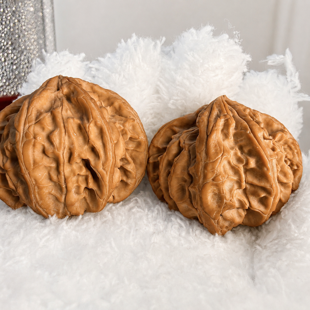 Seven-Ridge Natural Collectible Walnut Hand Piece with Red Patina Potential
