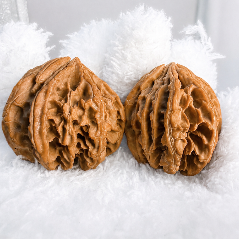 Seven-Ridge Natural Collectible Walnut Hand Piece with Red Patina Potential