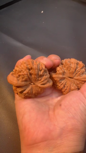 55mm Giant Official Hat Walnut High Density Natural Hand Polishing Collectible Walnut