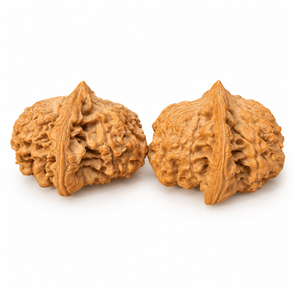 55mm Giant Official Hat Walnut High Density Natural Hand Polishing Collectible Walnut