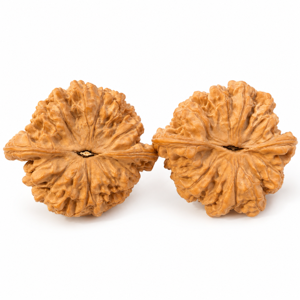55mm Giant Official Hat Walnut High Density Natural Hand Polishing Collectible Walnut