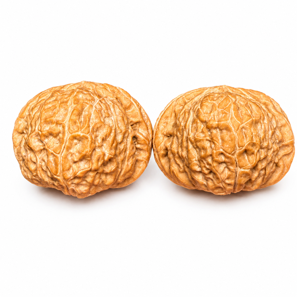Product Title & Product Description Section